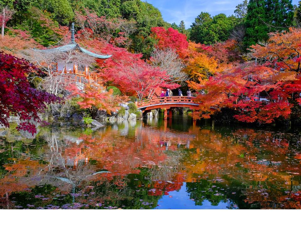 Geography Trip to Japan 